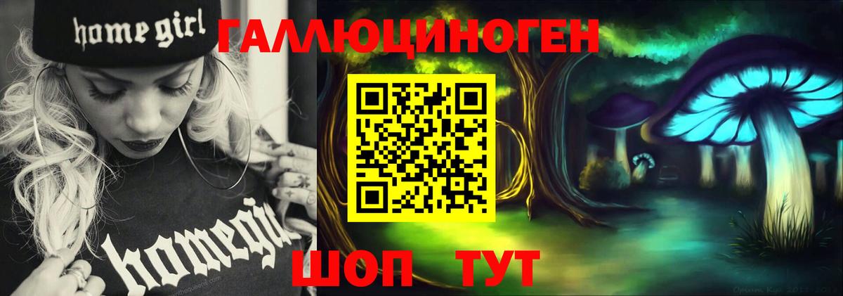 Псилоцибиновые грибы Cubensis Топки