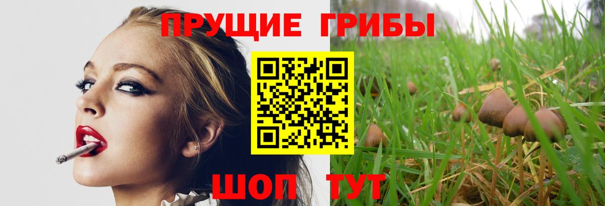 Галлюциногенные грибы Cubensis  Псилоцибиновые грибы Cubensis  купить наркоту  Вход с VPN  Топки 